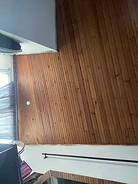 Urlovex1 online show from 15, 1, 2025