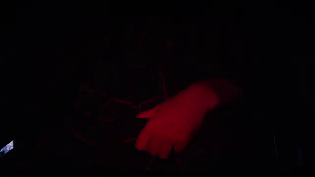 Snapshot of contemptumundi888 chatting on 11, 2, 2025 contemptumundi888 online show from 11, 2, 2025