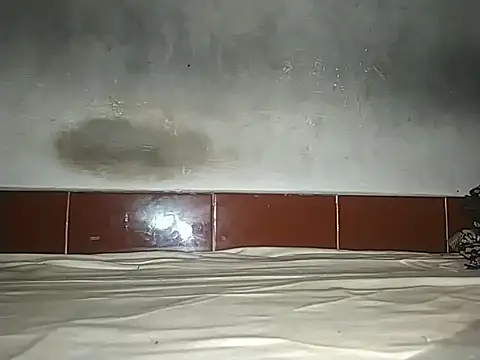 Snapshot of alansteer chatting on 21, 10, 2025 alansteer online show from 21, 10, 2025