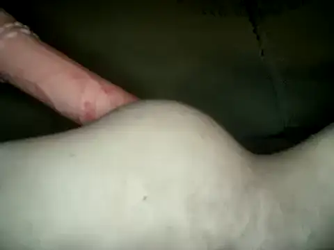 UnaDiosa online show from 24, 12, 2024