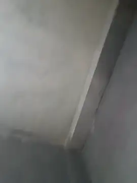 gerinwatch online show from 8, 3, 2026