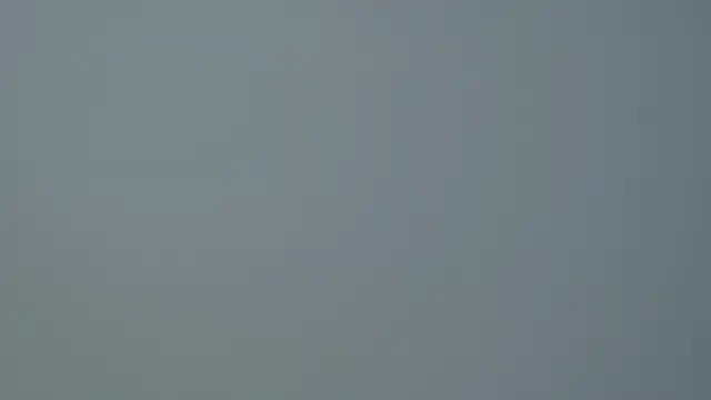 SelinSwarovski online show from 14, 10, 2025