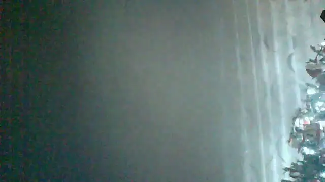 HardWolf2024 online show from 24, 12, 2024