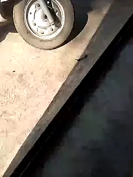 Snapshot of PracticalGum40 chatting on 10, 12, 2024 PracticalGum40 online show from 10, 12, 2024