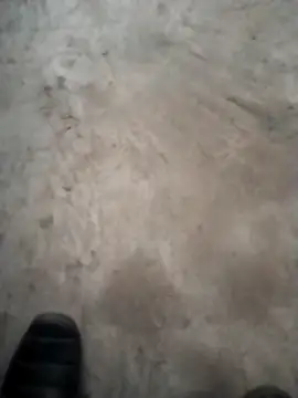 Snapshot of PracticalGum40 chatting on 18, 12, 2024 PracticalGum40 online show from 18, 12, 2024