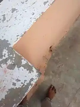 Snapshot of PracticalGum40 chatting on 21, 2, 2026 PracticalGum40 online show from 21, 2, 2026