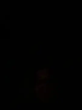 DaBoWlD online show from 10, 3, 2026