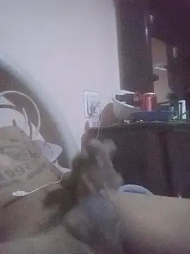carloshot31 online show from 17, 5, 2026