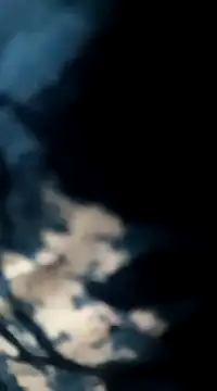 Sneha gril online show from 26, 2, 2025