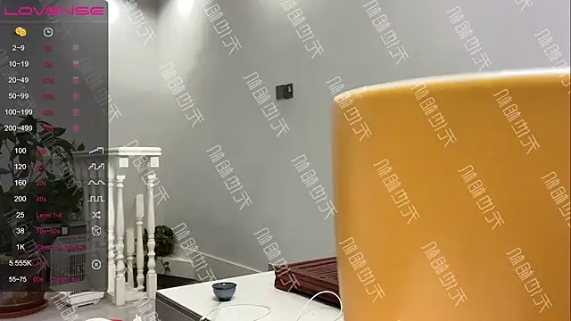 xinxin-521 online show from 20, 12, 2024