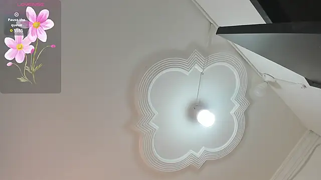 ariana crazzy online show from 13, 12, 2024