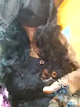 Tamillminnal online show from 13, 9, 2025