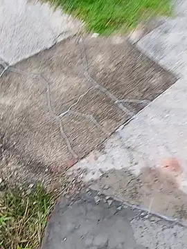 Snapshot of homenbuscalacto chatting on 16, 1, 2026 homenbuscalacto online show from 16, 1, 2026