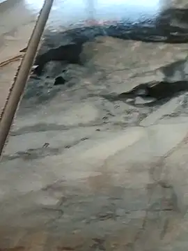 imissyoumylove14 online show from 8, 2, 2026