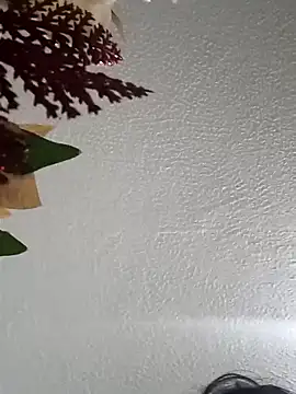 Naomy veracruz  online show from 11, 2, 2026