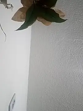 Naomy veracruz  online show from 12, 4, 2026