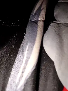 Snapshot of lemon69Reo chatting on 11, 3, 2025 lemon69Reo online show from 11, 3, 2025