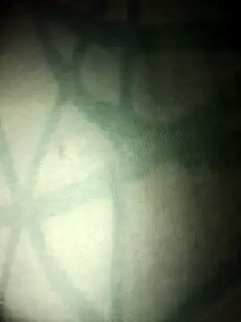 Snapshot of lemon69Reo chatting on 16, 11, 2025 lemon69Reo online show from 16, 11, 2025