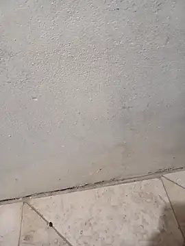 Snapshot of lemon69Reo chatting on 8, 2, 2026 lemon69Reo online show from 8, 2, 2026