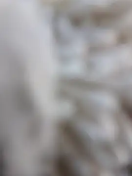 Snapshot of lemon69Reo chatting on 15, 2, 2026 lemon69Reo online show from 15, 2, 2026