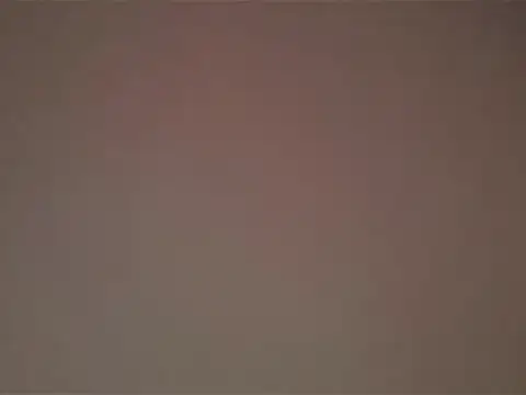 Bignc online show from 31, 7, 2026