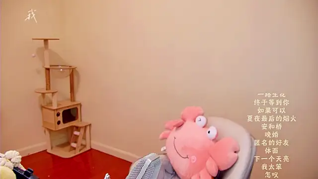 memeda online show from 24, 4, 2026