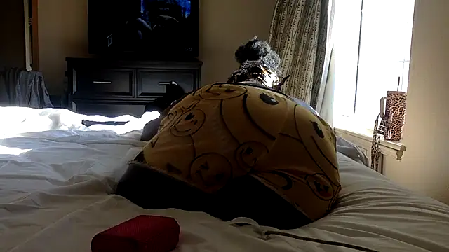 Cocabugattibad online show from 2, 3, 2025