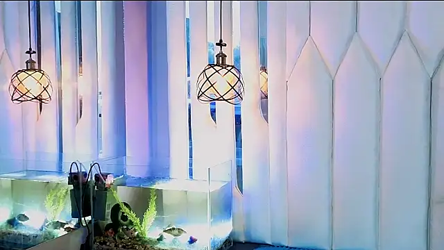 joe jhon online show from 27, 4, 2026