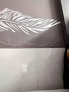 shalini fire online show from 18, 3, 2025