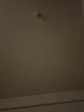 Morguisssz online show from 8, 1, 2026