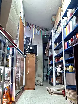 nidia2026 online show from 1, 3, 2025