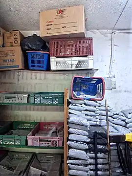 nidia2026 online show from 21, 4, 2026