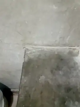 Juan 45 online show from 13, 4, 2026