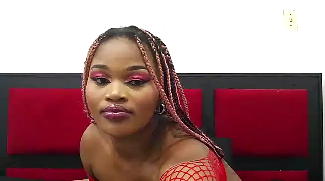 Catalia404 online show from 20, 12, 2024