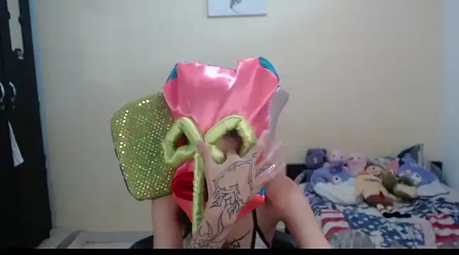 Snapshot of hachi_kitty chatting on 27, 2, 2025 hachi kitty online show from 27, 2, 2025