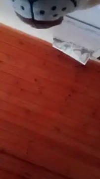 Darly Gomez online show from 31, 12, 2024