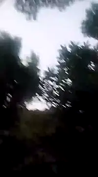 Snapshot of Danna-linyi chatting on 20, 12, 2024 Danna-linyi online show from 20, 12, 2024