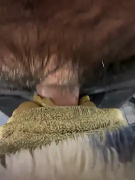 edgher646 online show from 25, 4, 2026