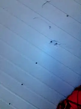 frotasso online show from 12, 12, 2024