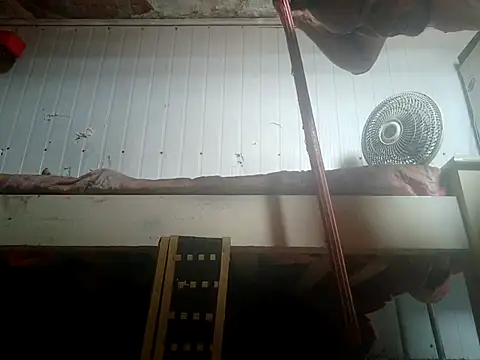 frotasso online show from 14, 2, 2026