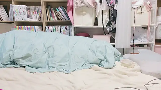 morikawa sayaka online show from 20, 6, 2026