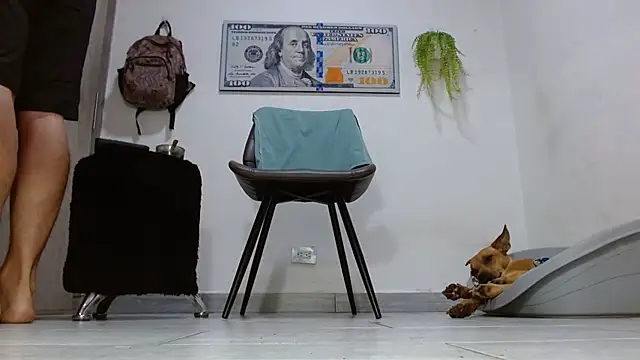 boss of cash online show from 4, 6, 2026