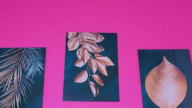 kinkyandsavage online show from 9, 4, 2026