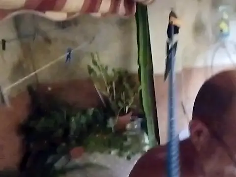 soy 5 online show from 10, 9, 2025