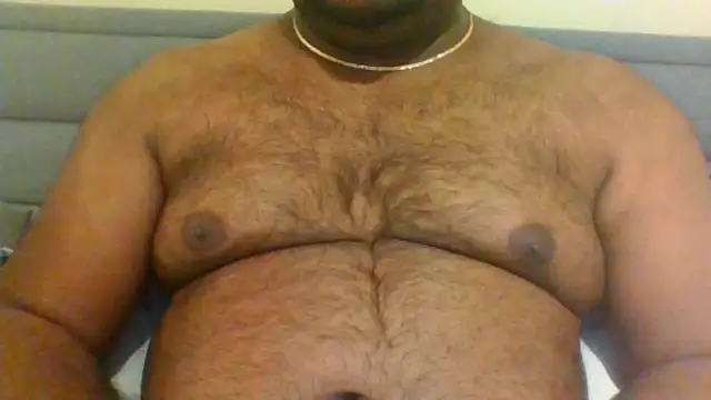 indianbearbot online show from 20, 1, 2025