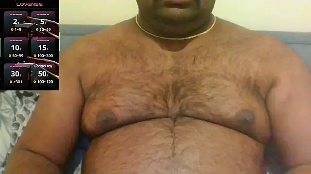 indianbearbot online show from 30, 1, 2025