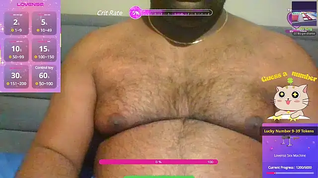 indianbearbot online show from 14, 2, 2025