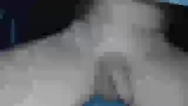 Snapshot of cs1512 chatting on 13, 2, 2025 cs1512 online show from 13, 2, 2025