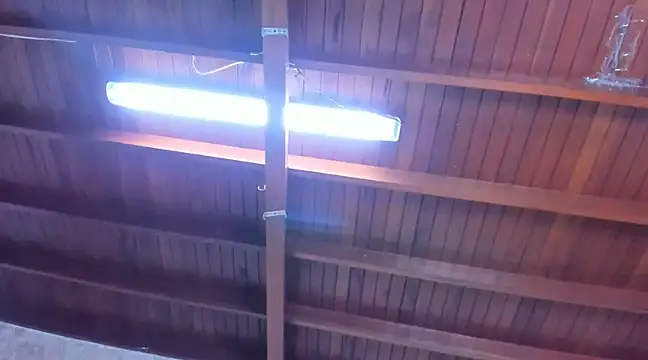 jeicob gagnon online show from 13, 3, 2025