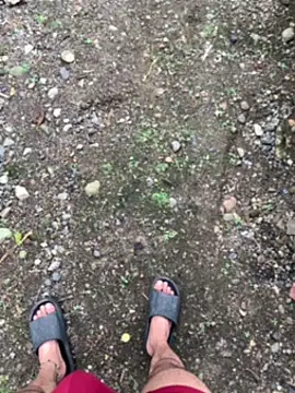 seven7xis online show from 1, 1, 2025